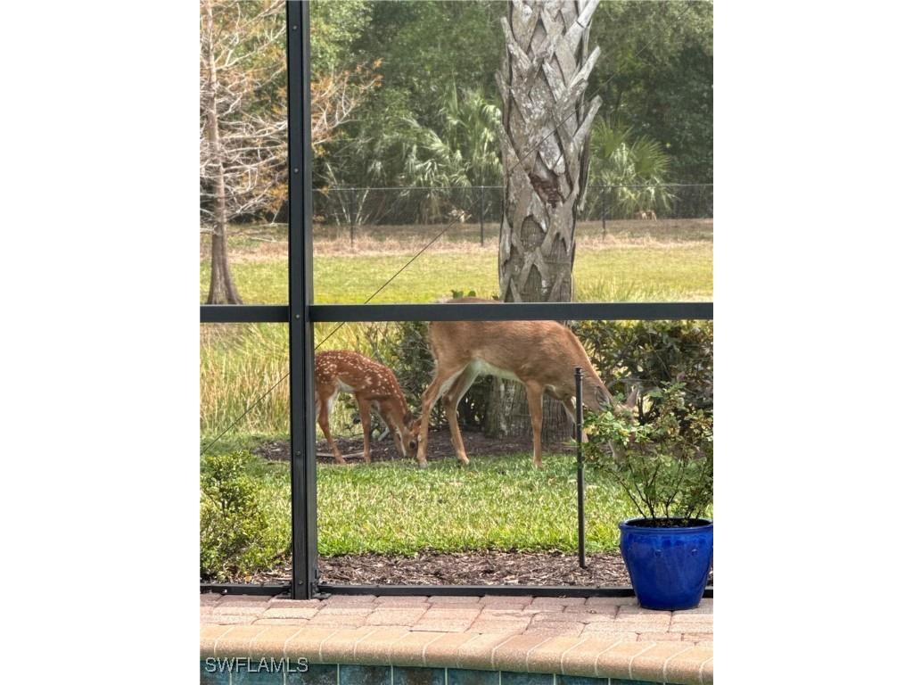 20309 Black Tree Lane Estero FL 33928 225031162 image2