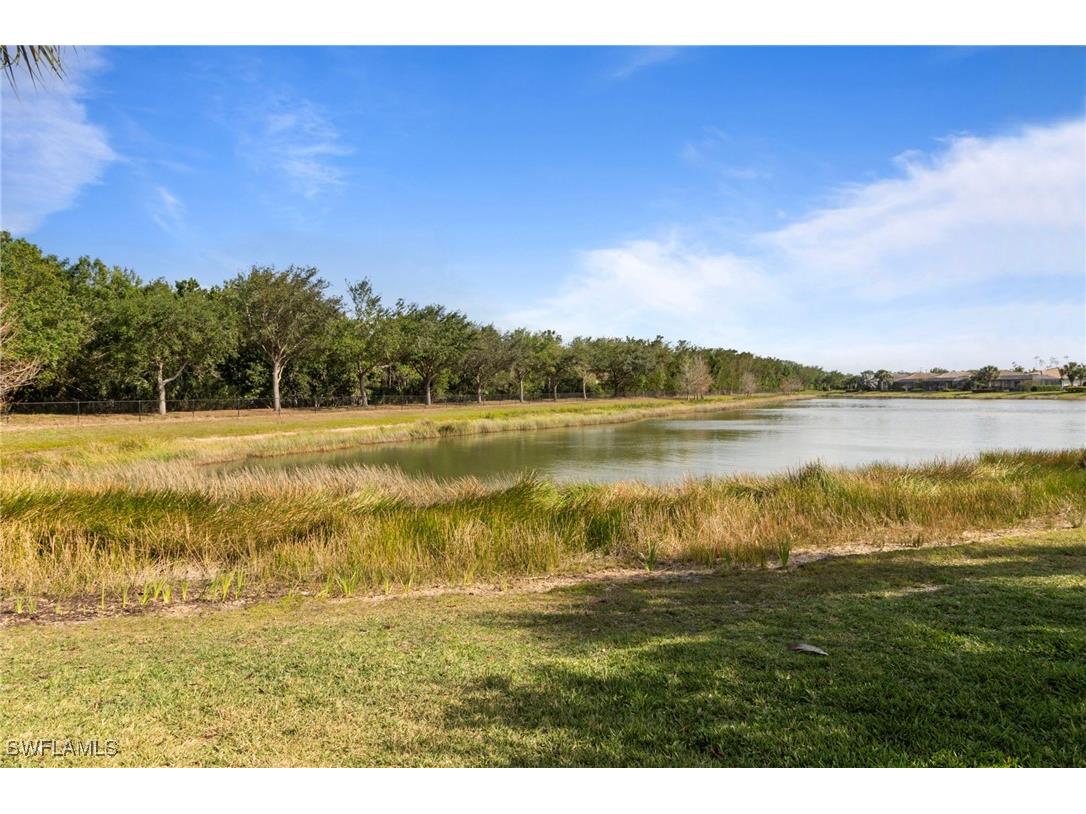 20309 Black Tree Lane Estero FL 33928 225031162 image36