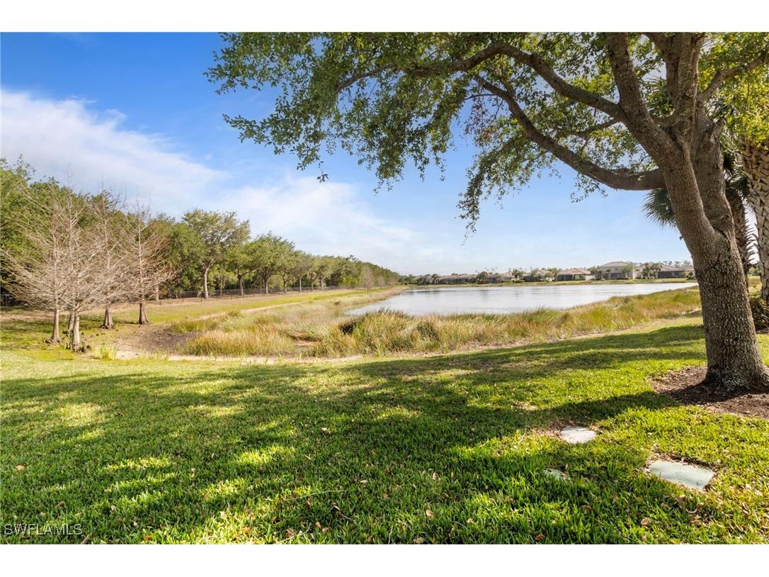 20309 Black Tree Lane Estero FL 33928 225031162 image39