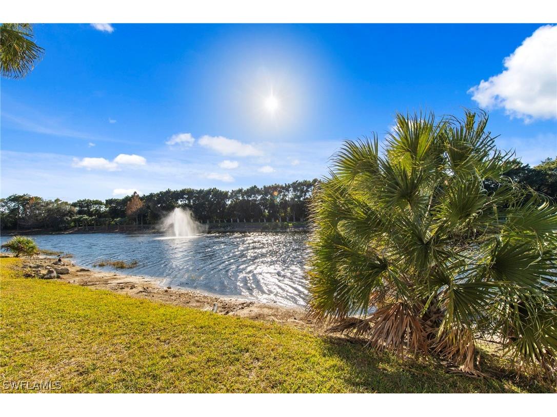 20310 Calice Court #1204 Estero FL 33928 226006364 image29