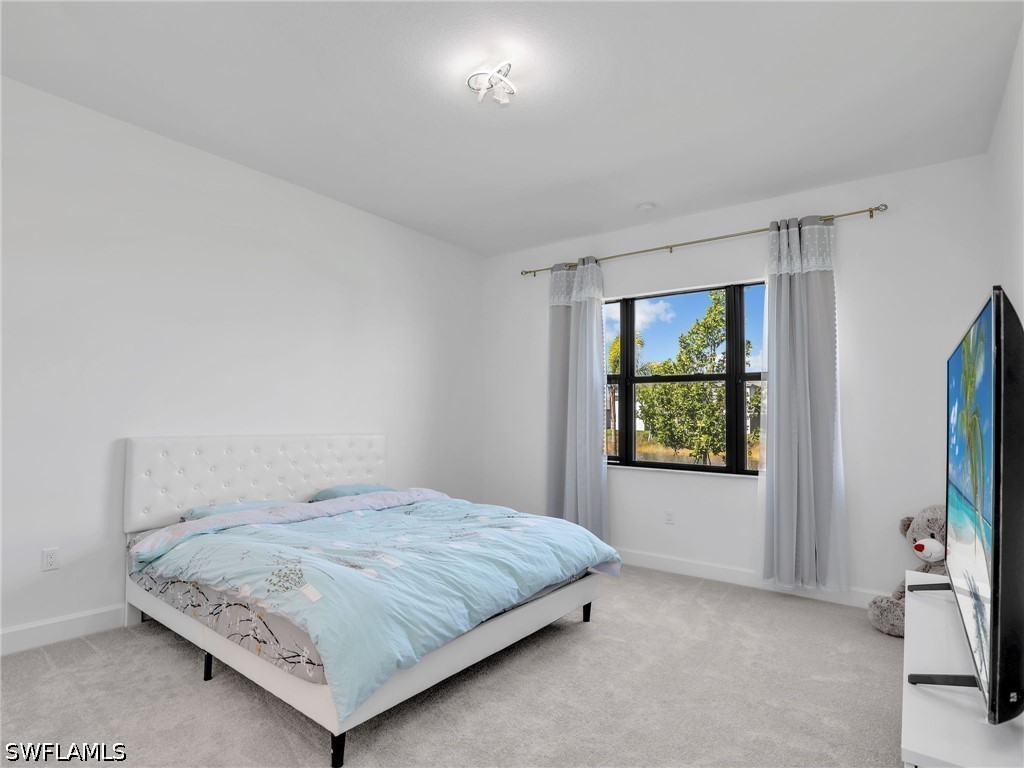 20329 Fair Oak Lane Estero FL 33928 226024449 image21