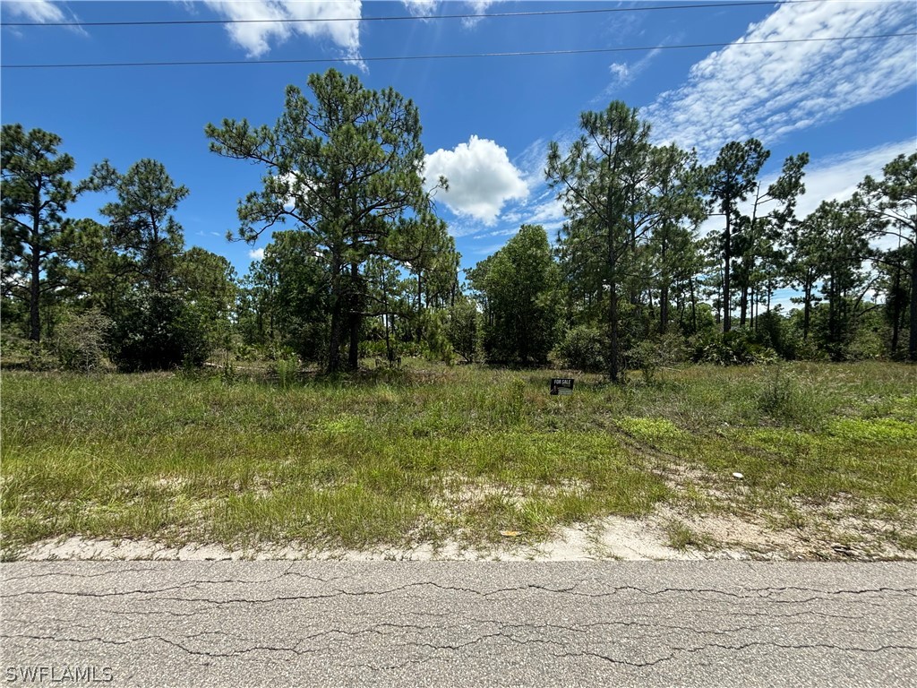 204 Moore Avenue Lehigh Acres FL 33936 224041982 image1