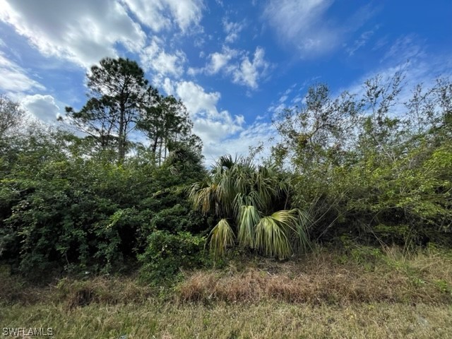 204 W 18th Street Lehigh Acres FL 33972 223077437 image1