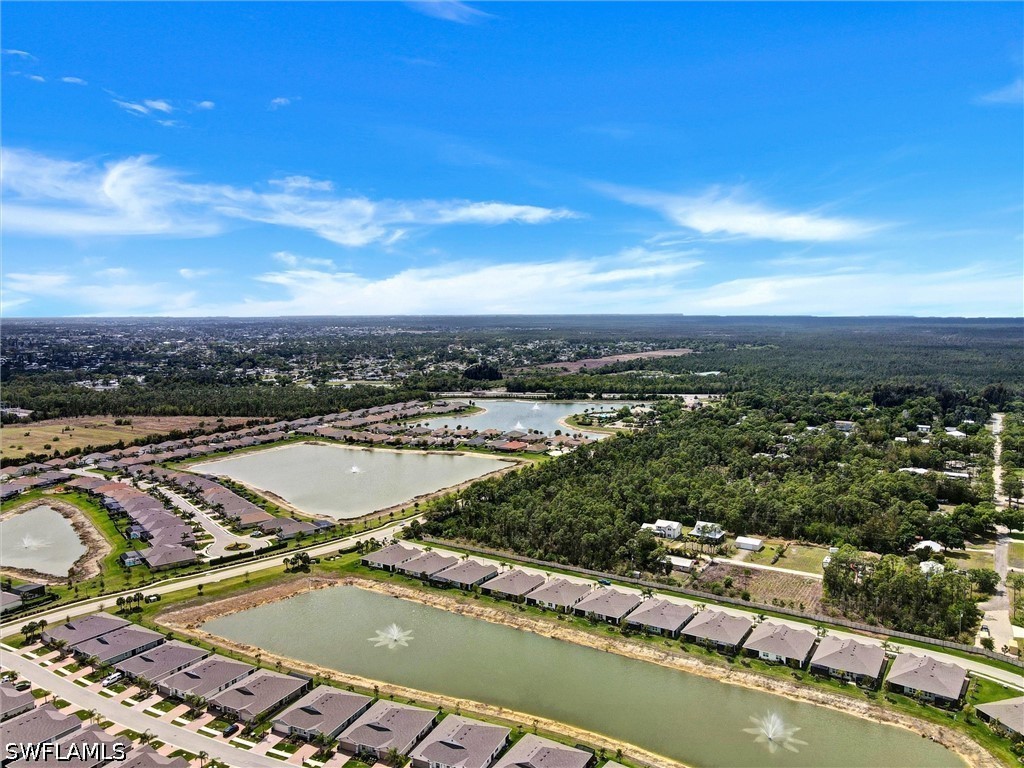 20462 Plumwood Loop North Fort Myers FL 33917 226014593 image33