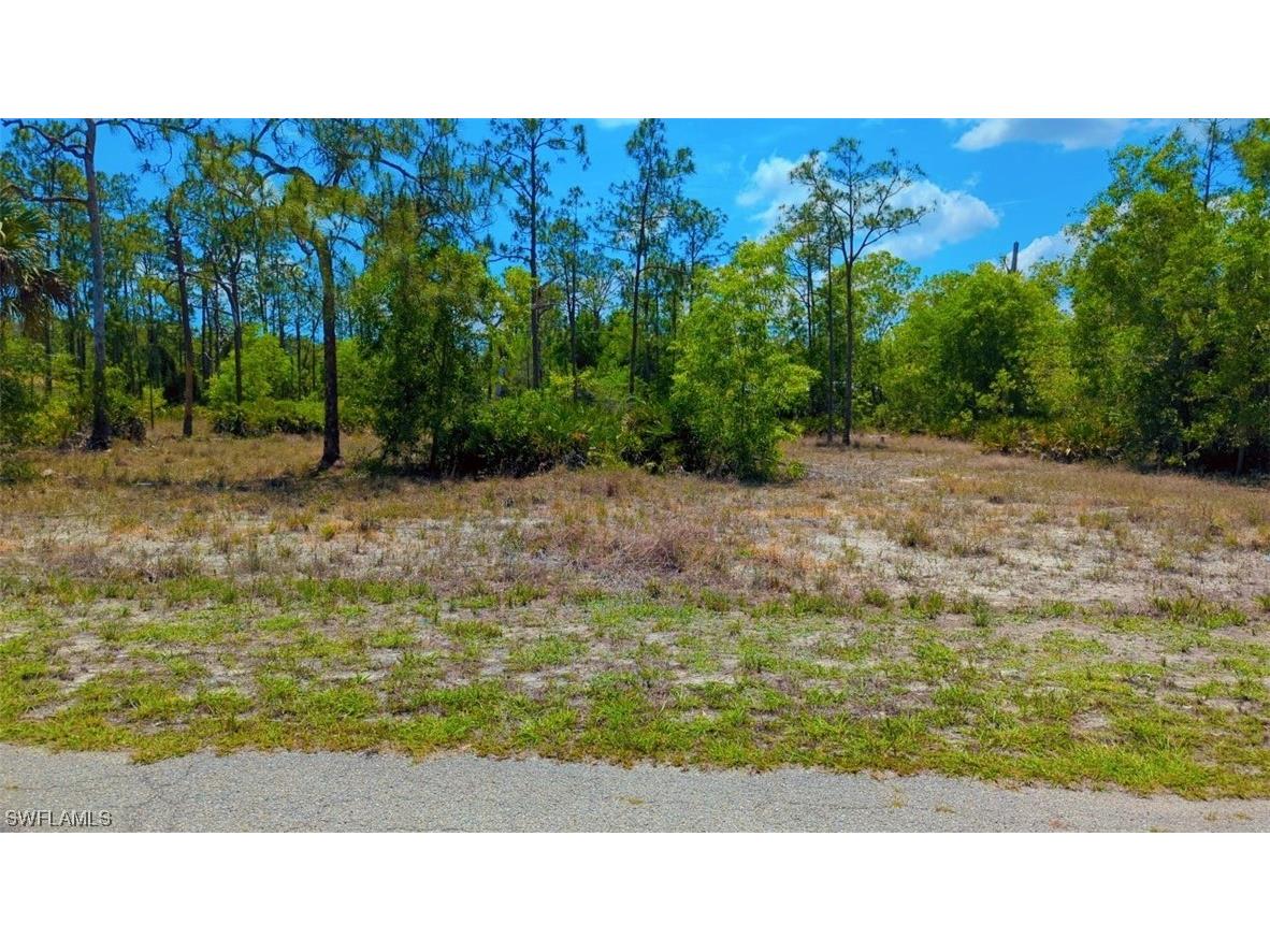 205 Johns Avenue Lehigh Acres FL 33936 223042772 image1