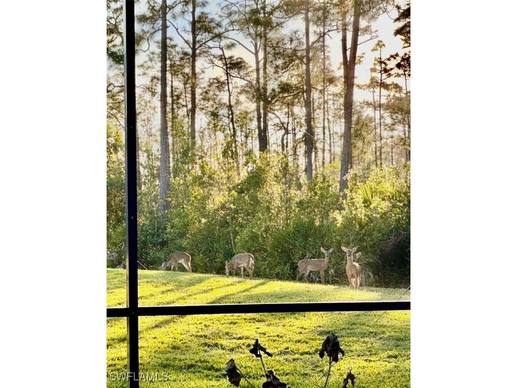 20516 Ardore Lane Estero FL 33928 225081895 image25