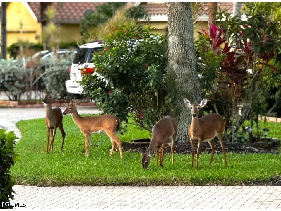 20528 Torre Del Lago Street Estero FL 33928 2026018706 image50