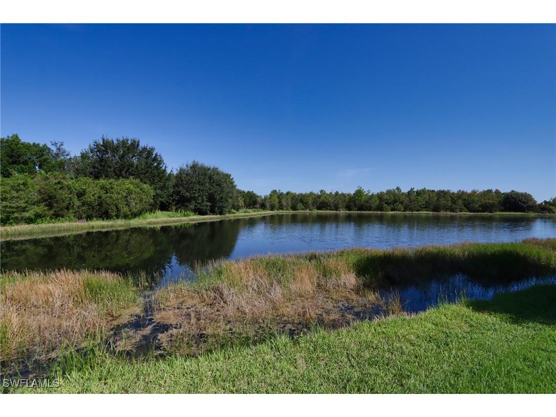 20528 Torre Del Lago Street Estero FL 33928 225079080 image2