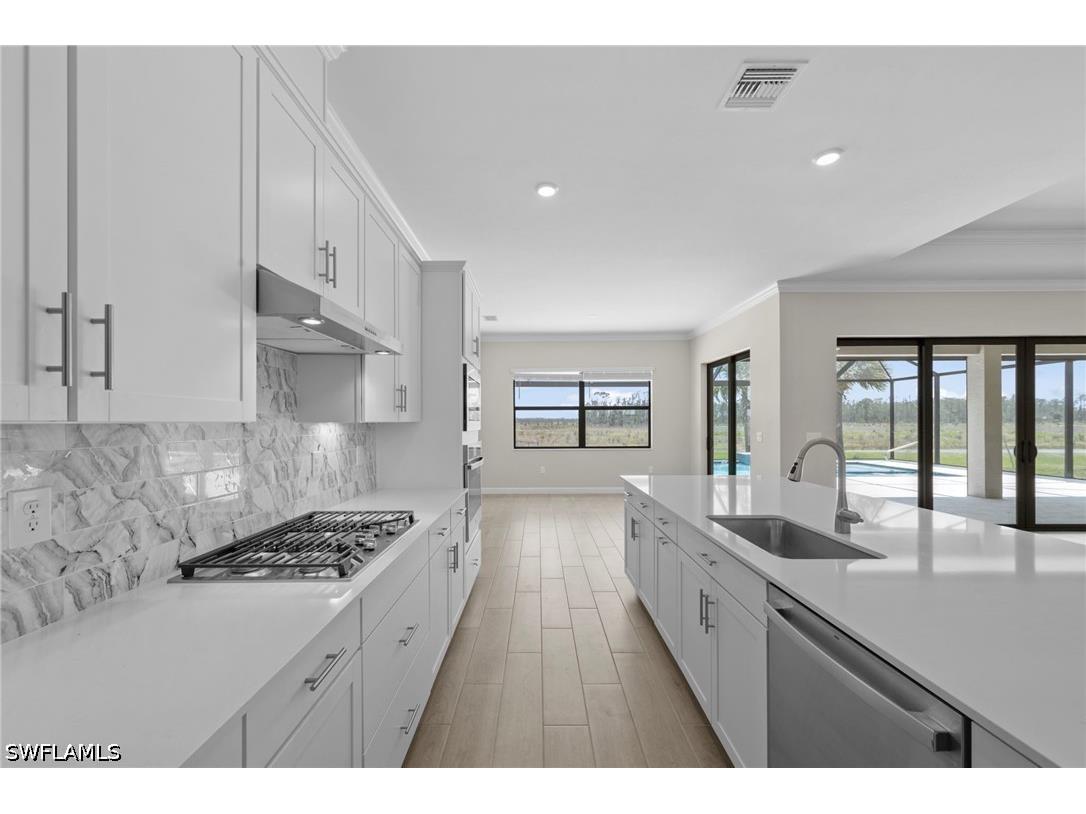 20529 Napa Loop Estero FL 33928 226018281 image16