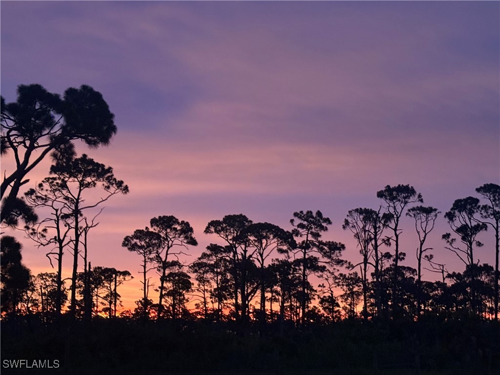 20551 Armada Court Estero FL 33928 225060778 image2