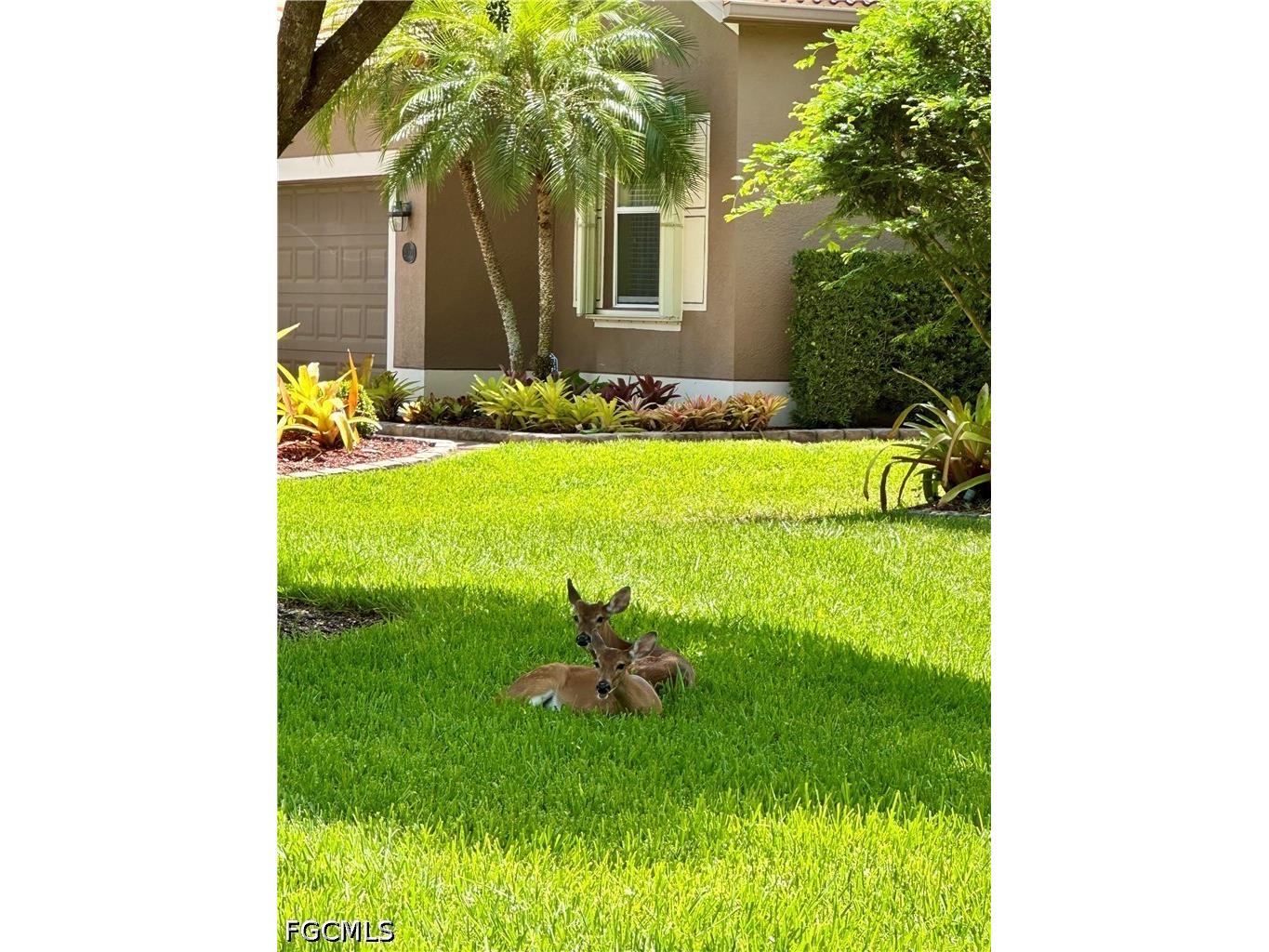 20561 Larino Loop Estero FL 33928 2026019436 image41