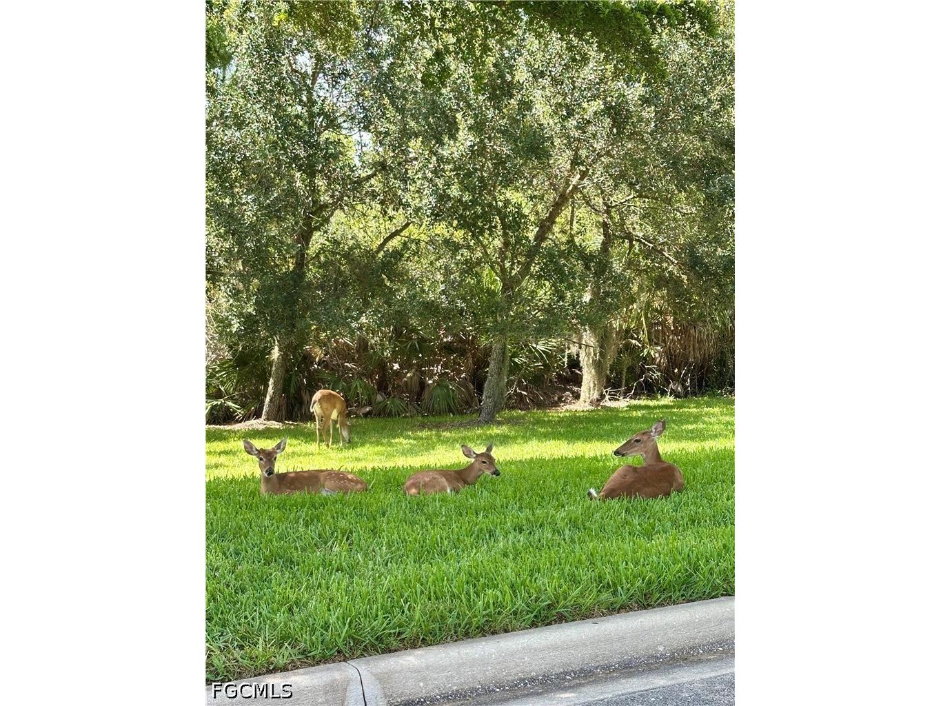 20561 Larino Loop Estero FL 33928 2026019436 image42