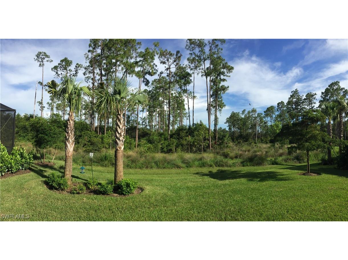 20567 Wilderness Court Estero FL 33928 225082319 image16