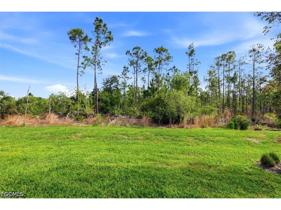 20579 Plumwood Loop North Fort Myers FL 33917 2026018060 image30