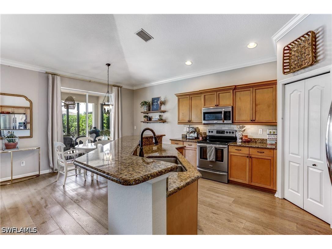 20582 Ardore Lane Estero FL 33928 226017482 image4