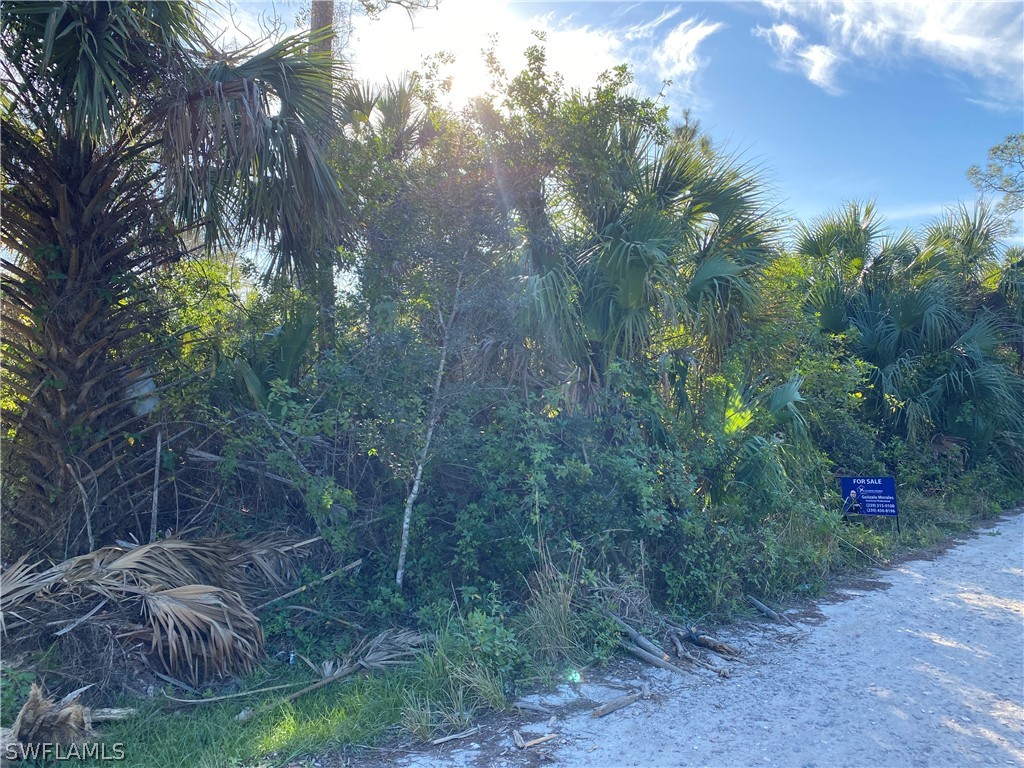 2060 Della Drive Naples FL 34117 223001386 image1