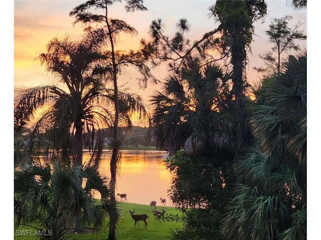 2066 Imperial Circle Naples FL 34110 225074570 image29