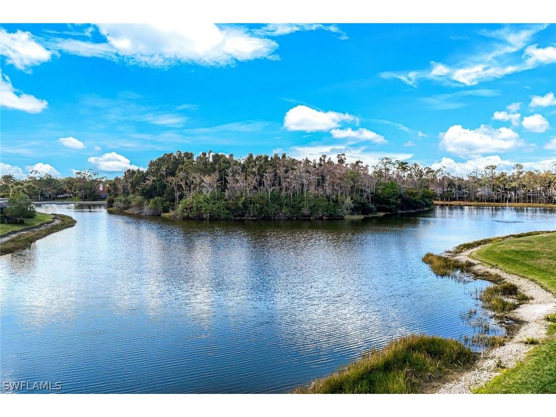 20667 Wildcat Run Drive #101 Estero FL 33928 226008252 image4