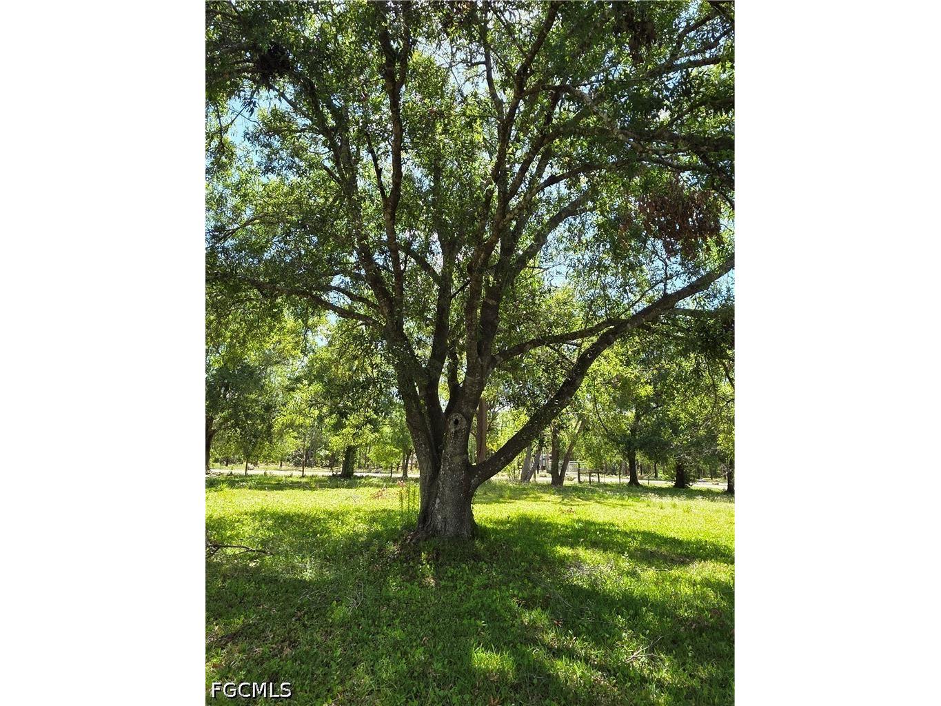 20681 Jamie Road North Fort Myers FL 33917 2026018127 image13