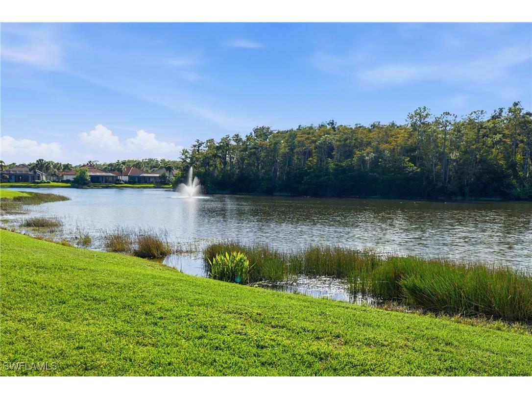 20687 Wildcat Run Drive #201 Estero FL 33928 225077843 image43
