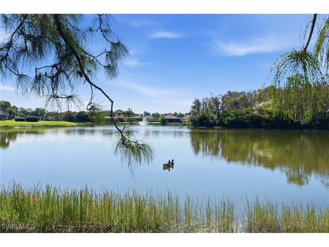 20691 Wildcat Run Drive #102 Estero FL 33928 225076303 image36