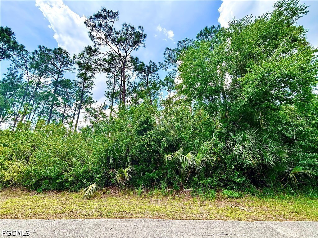 207 Robert Avenue Lehigh Acres FL 33936 2026020584 image1