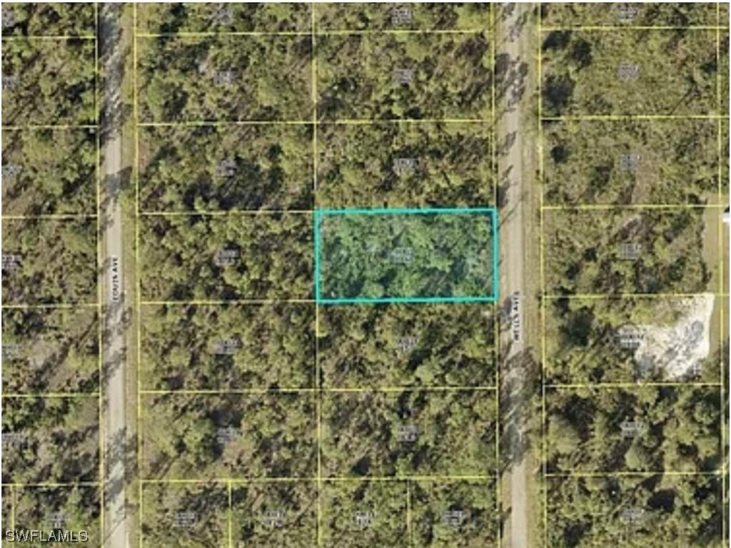 207 Wells Avenue Lehigh Acres FL 33936 223053238 image1