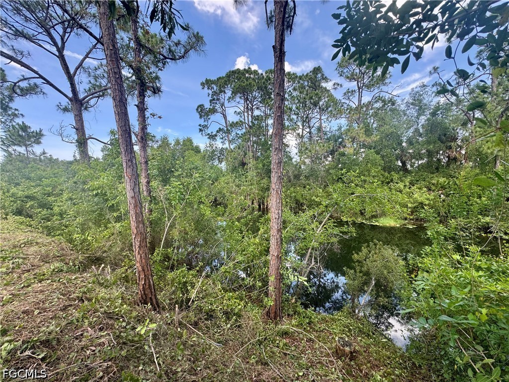 207 Wilmington Parkway Cape Coral FL 33993 2026026582 image11