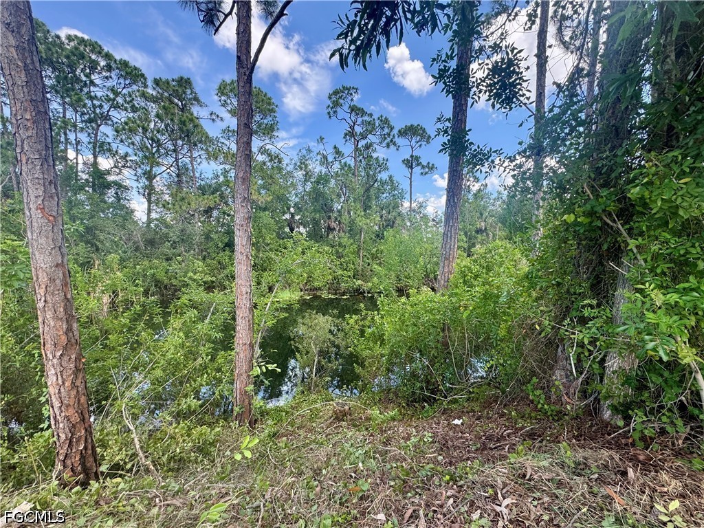 207 Wilmington Parkway Cape Coral FL 33993 2026026582 image12