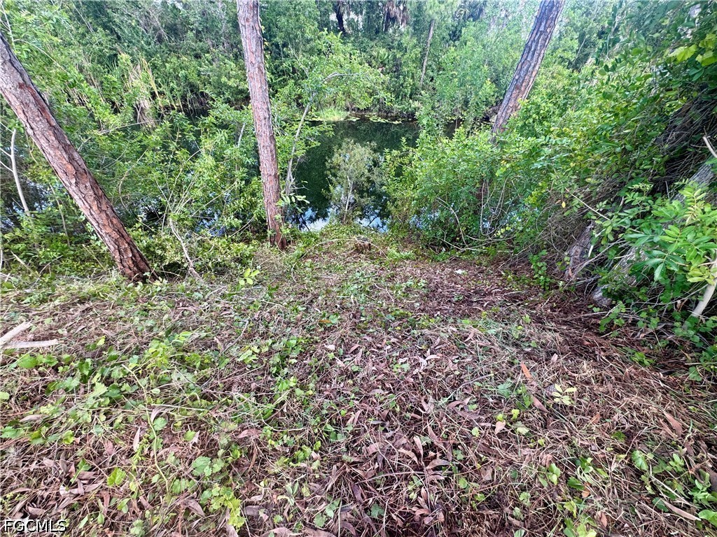 207 Wilmington Parkway Cape Coral FL 33993 2026026582 image9