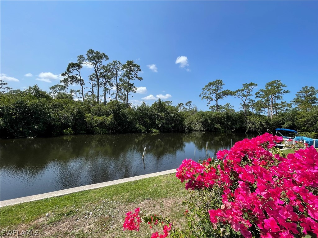 20731 Molokai Court W Estero FL 33928 224045471 image1