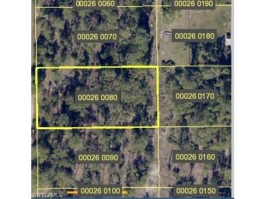 208 Johns Avenue Lehigh Acres FL 33936 223068092 image1