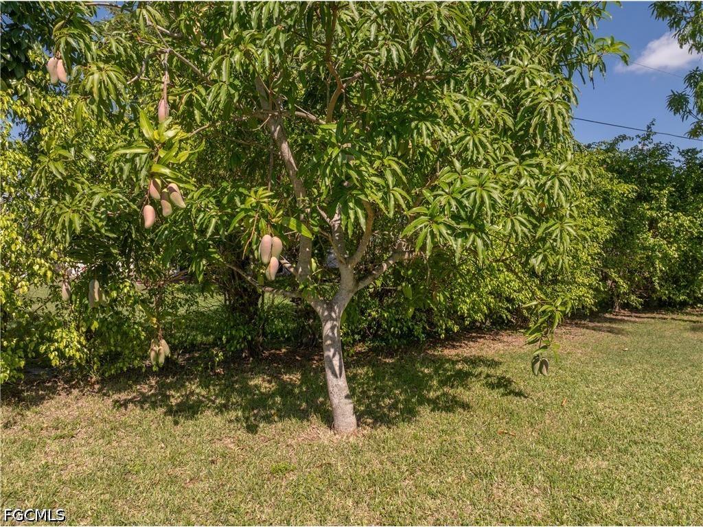 208 NE 9th Avenue Cape Coral FL 33909 2026027389 image27