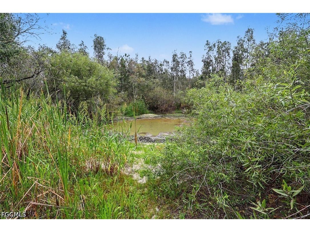 20800 Williams Drive North Fort Myers FL 33917 2026025848 image13