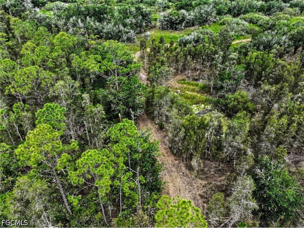20800 Williams Drive North Fort Myers FL 33917 2026025848 image19