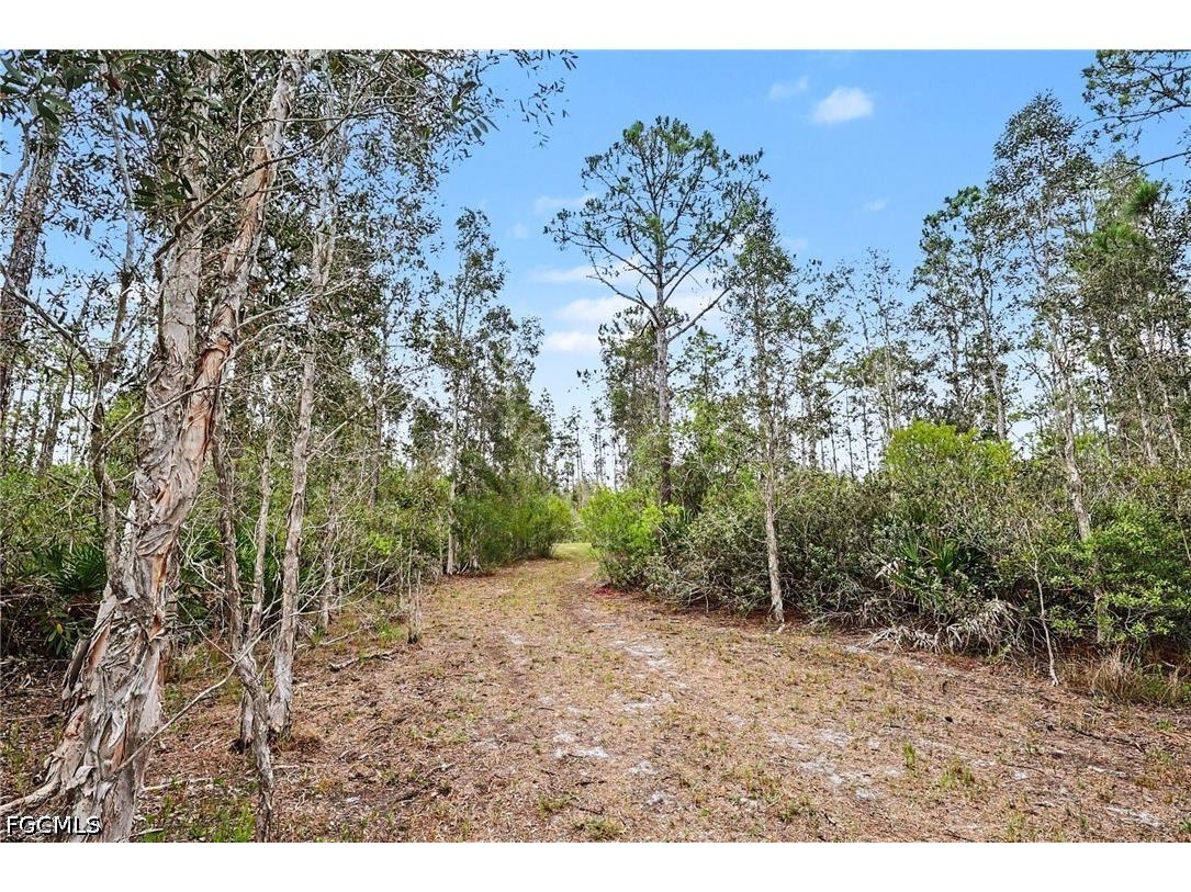 20800 Williams Drive North Fort Myers FL 33917 2026025848 image2