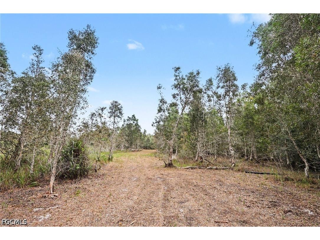20800 Williams Drive North Fort Myers FL 33917 2026025848 image3