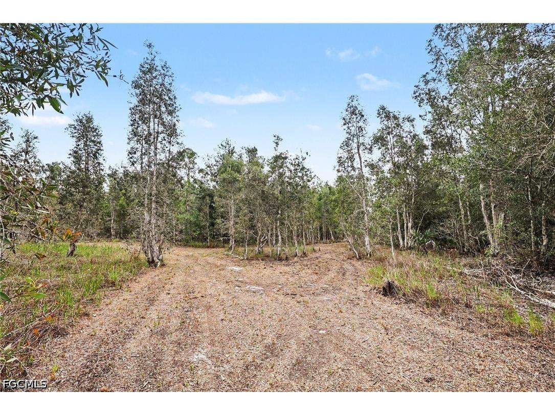 20800 Williams Drive North Fort Myers FL 33917 2026025848 image4