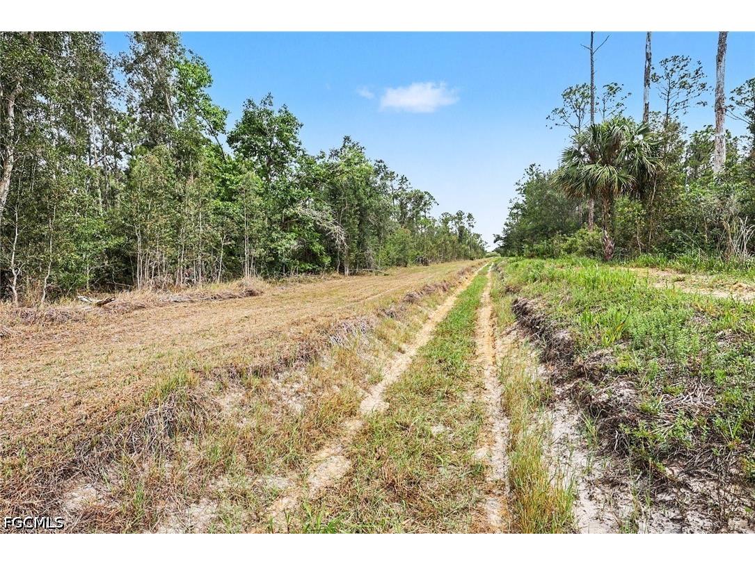 20800 Williams Drive North Fort Myers FL 33917 2026025848 image6
