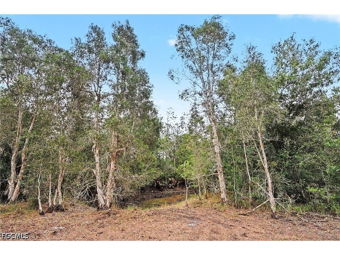 20800 Williams Drive North Fort Myers FL 33917 2026025848 image9