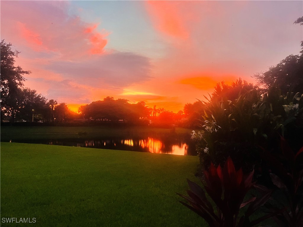 2085 Painted Palm Drive Naples FL 34119 225081455 image35