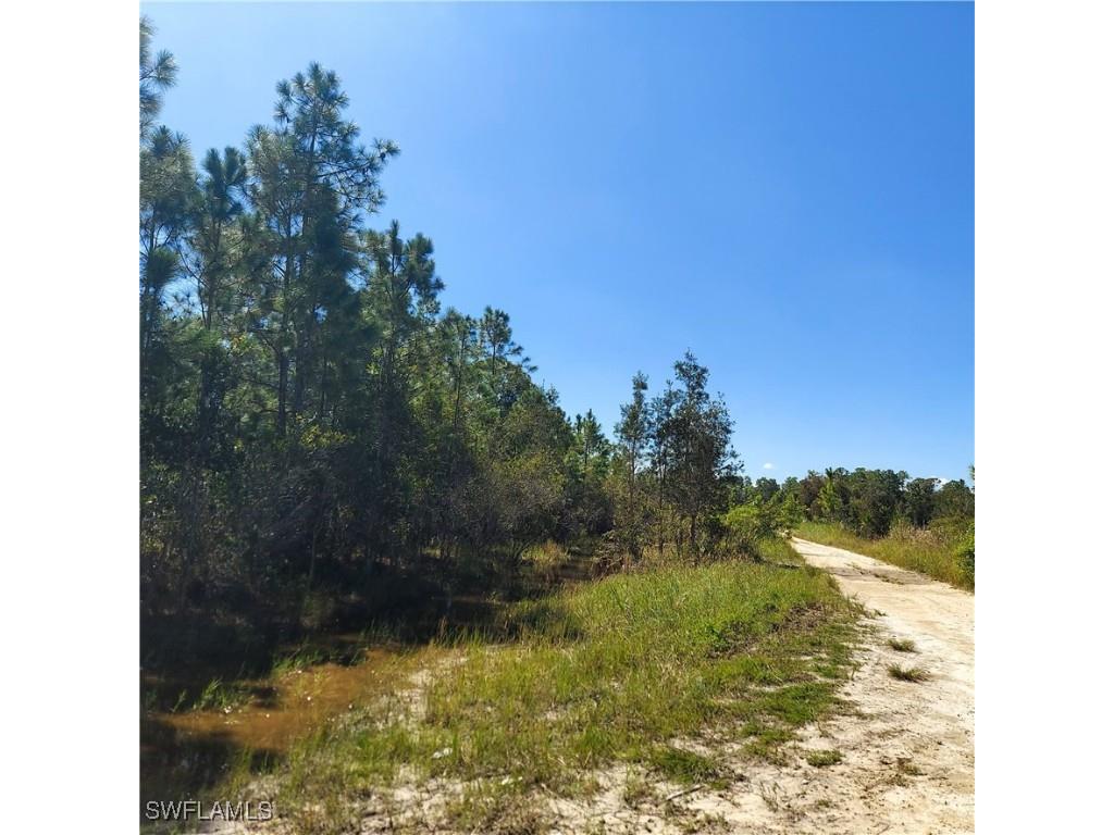 2087 West Dearborn Circle Alva FL 33920 225073938 image2