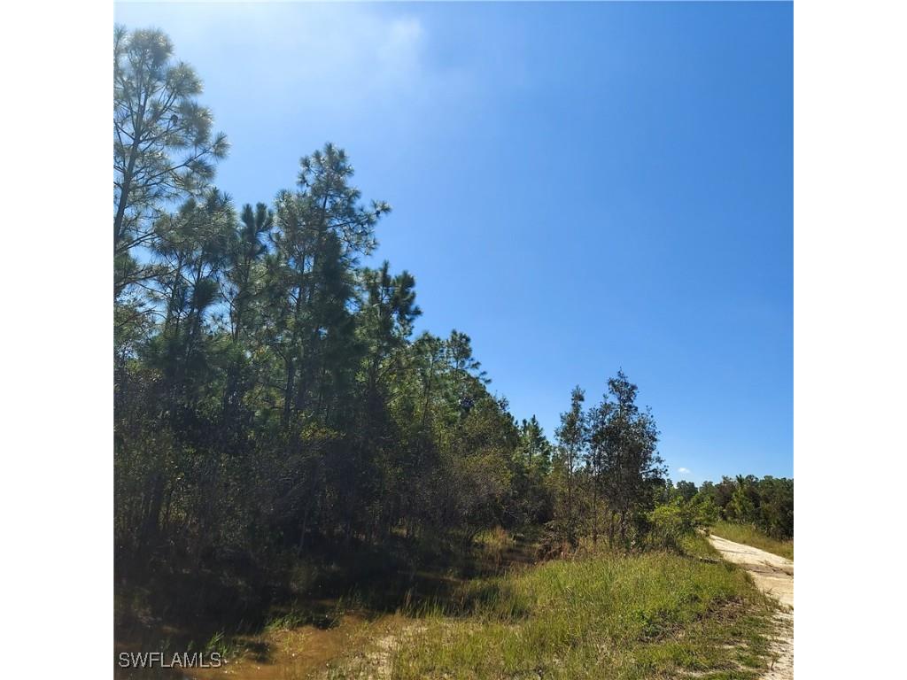 2087 West Dearborn Circle Alva FL 33920 225073938 image3