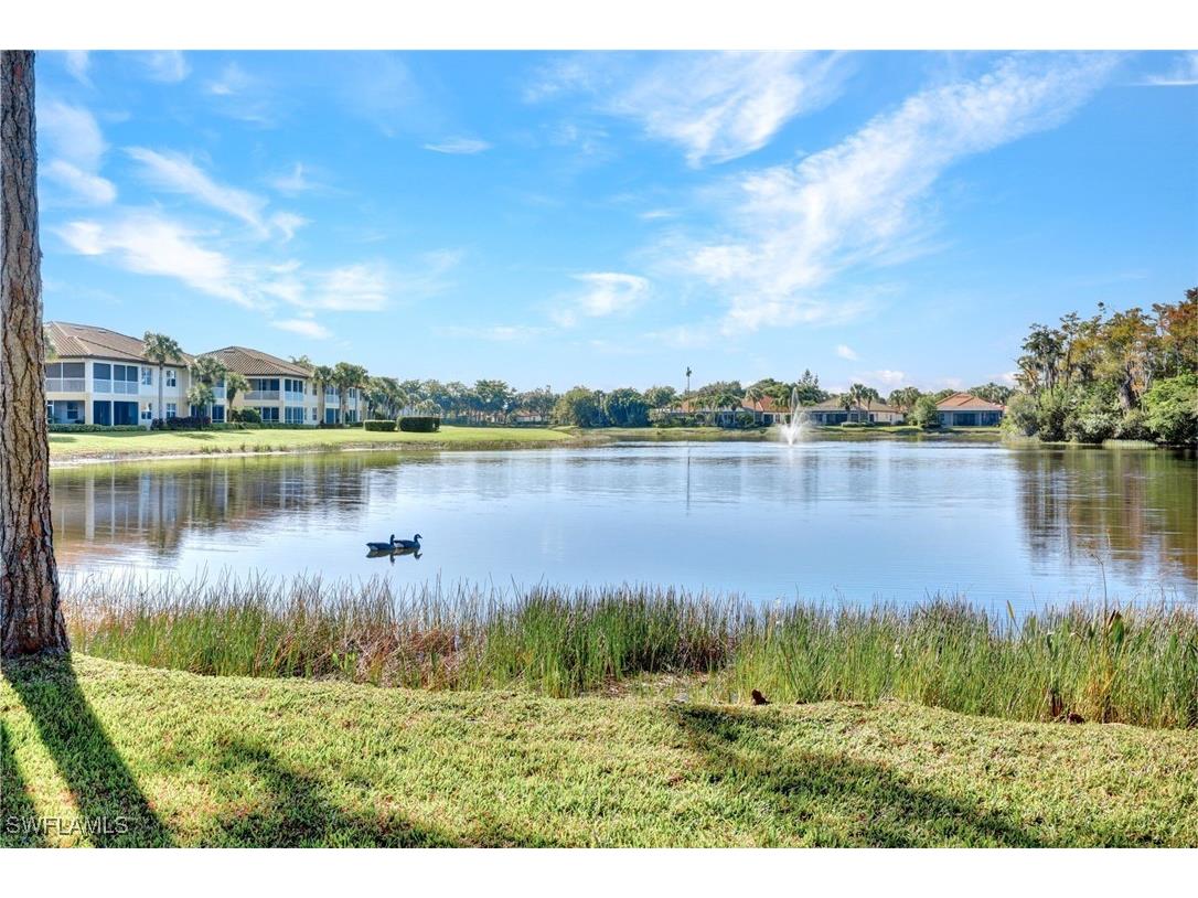 20881 Wildcat Run Drive #5 Estero FL 33928 225079964 image28