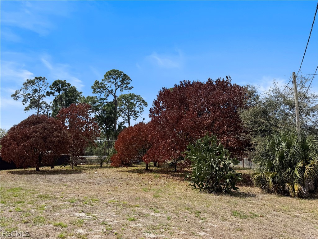 209 Mcarthur Avenue Lehigh Acres FL 33936 2026013771 image2