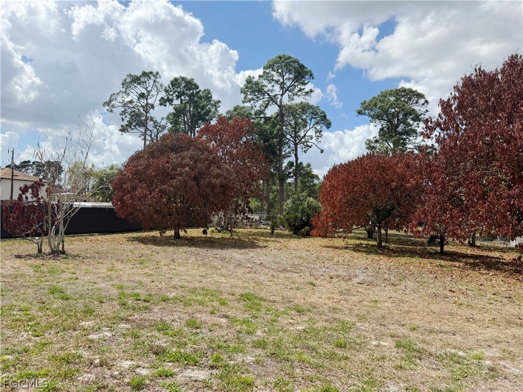 209 Mcarthur Avenue Lehigh Acres FL 33936 2026013771 image9