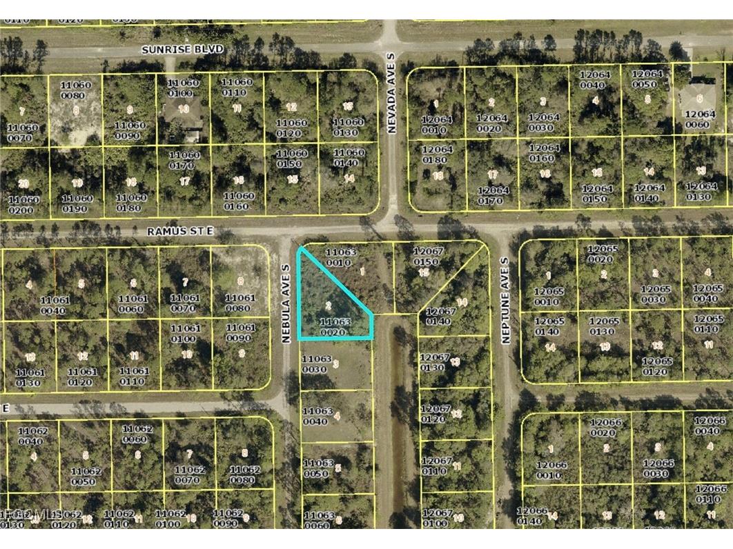 209 Nebula Avenue S Lehigh Acres FL 33974 2025020775 image1