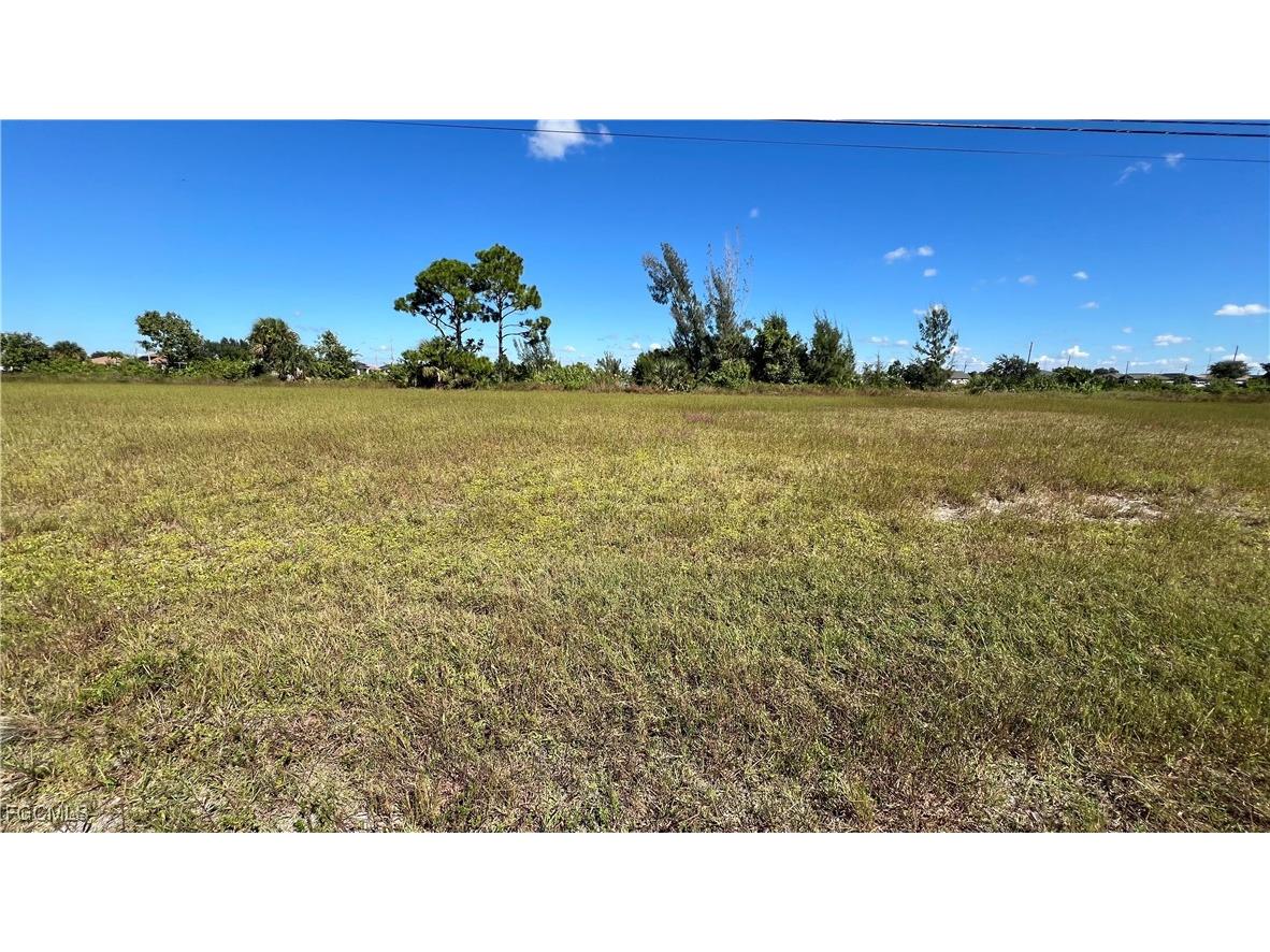 209 NW 19th Terrace Cape Coral FL 33993 2025015146 image7