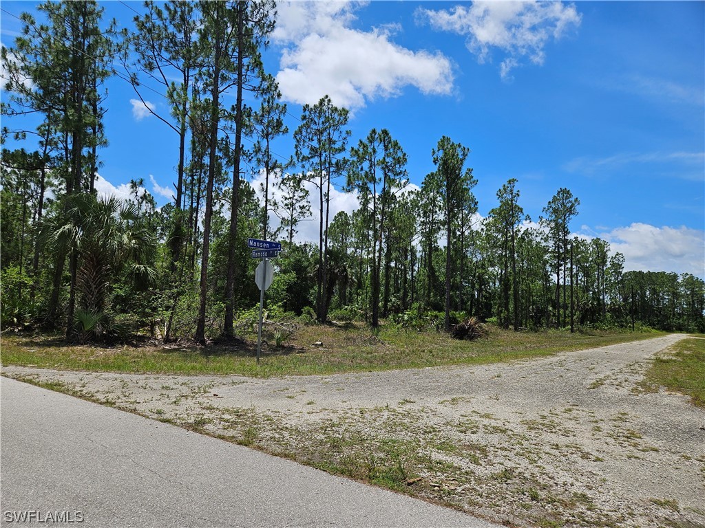 209 Nansen Avenue S Lehigh Acres FL 33974 223043635 image1