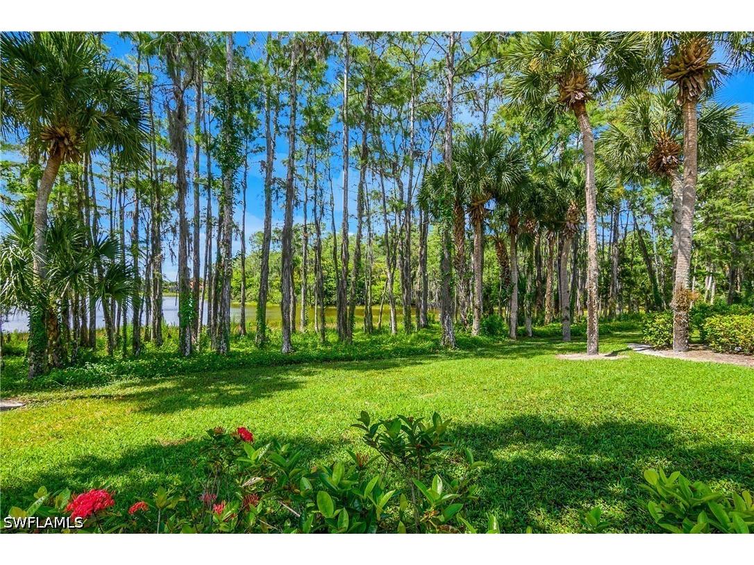 20911 Wildcat Run Drive Estero FL 33928 226022287 image34
